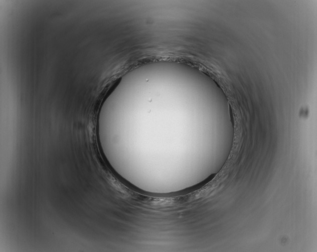 X0000102760720200808180931