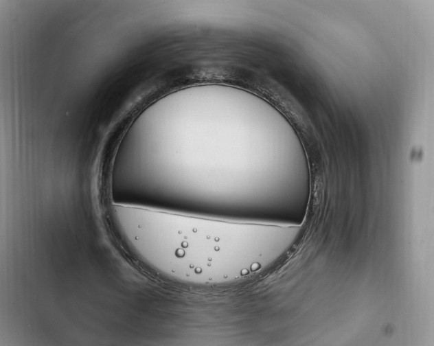 X0000102760722200808180930