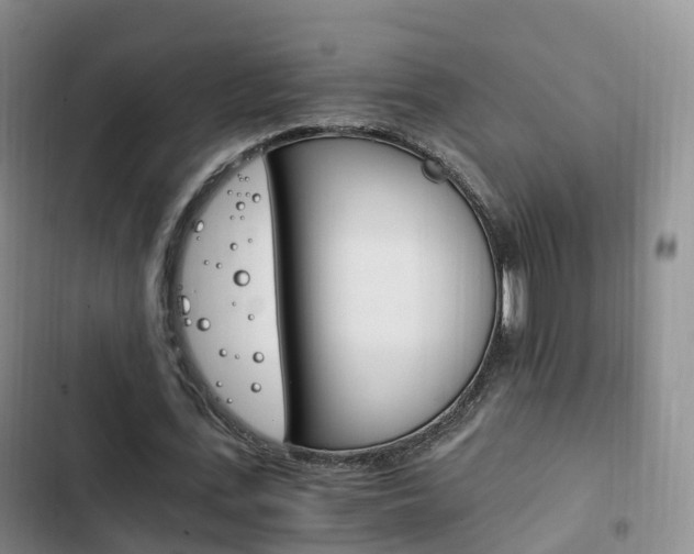 X0000102760723200808180930