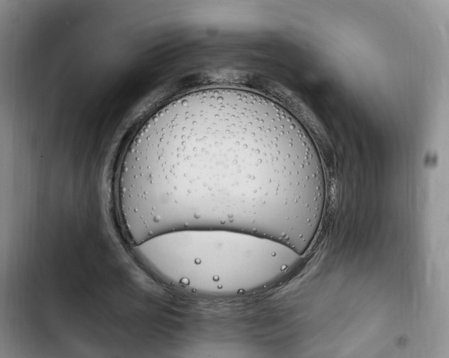 X0000102760725200808180930