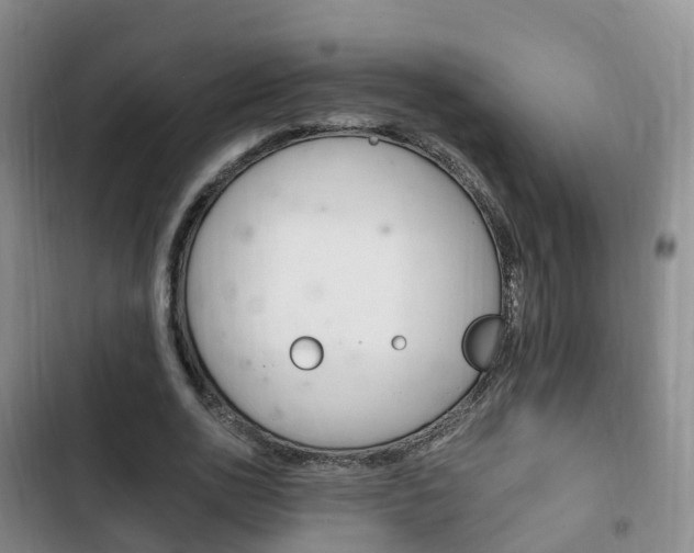 X0000102760726200808180930
