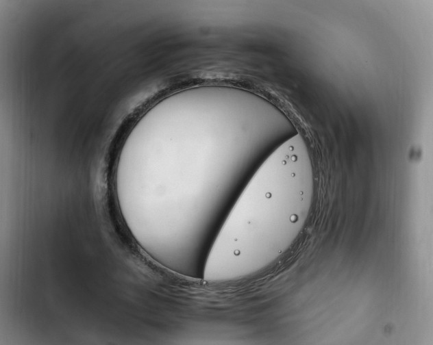 X0000102760727200808180930
