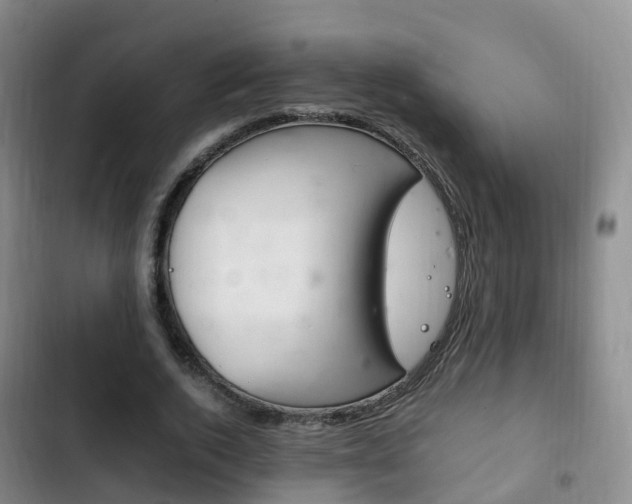 X0000102760728200808180931