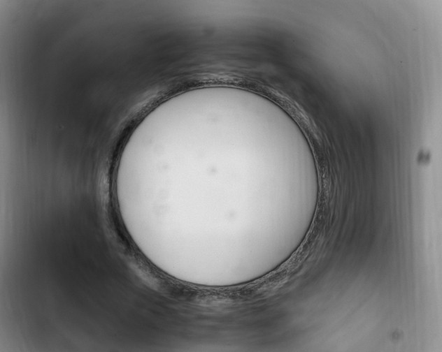 X0000102760729200808180931