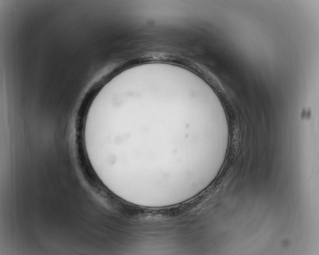 X0000102760730200808180931