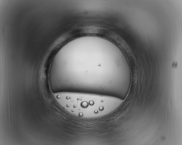 X0000102760731200808180931