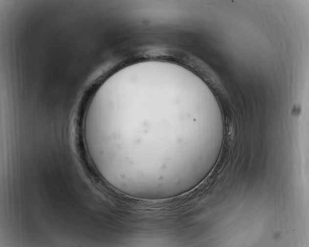 X0000102760732200808180931