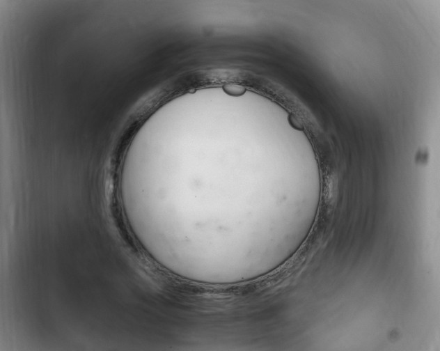X0000102760733200808180931