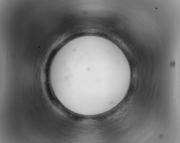 X0000102760734200808180931