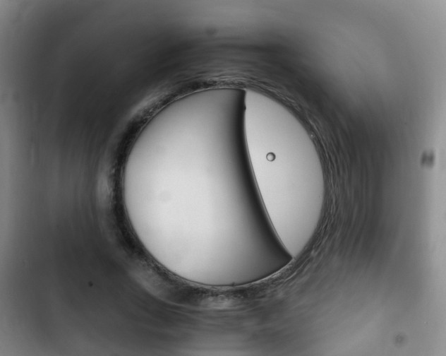 X0000102760735200808180931