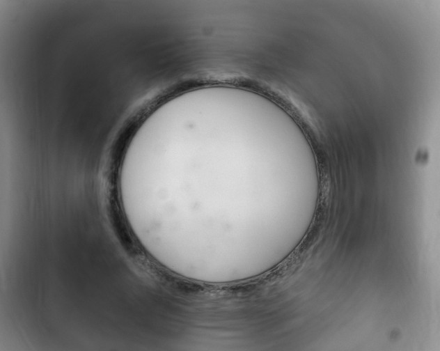 X0000102760736200808180931