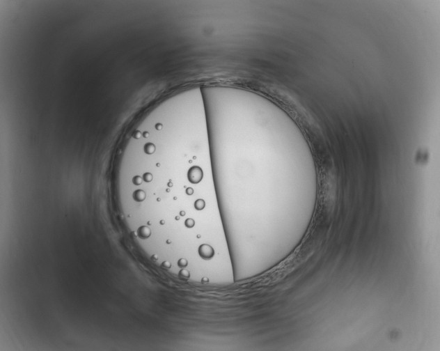 X0000102760738200808180931