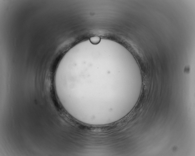 X0000102760740200808180931