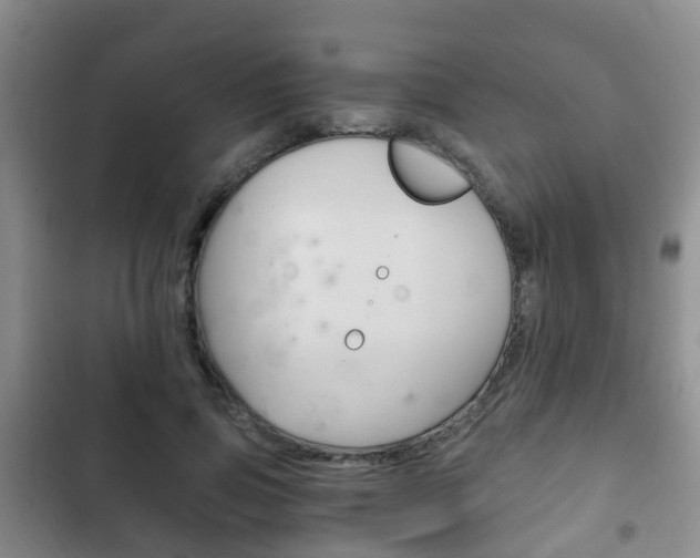 X0000102760741200808180931