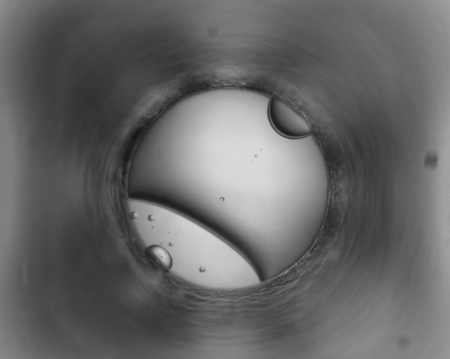 X0000102760742200808180931