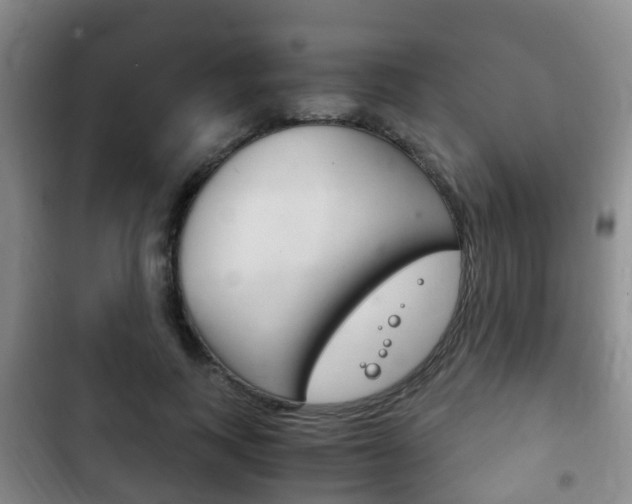 X0000102760743200808180931