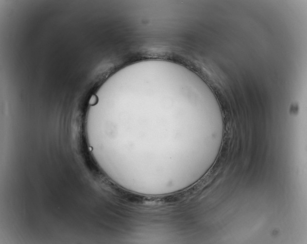 X0000102760744200808180931