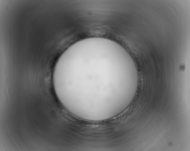 X0000102760745200808180931