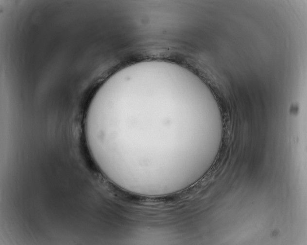 X0000102760746200808180931