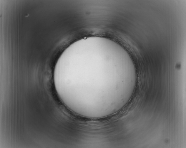 X0000102760748200808180931