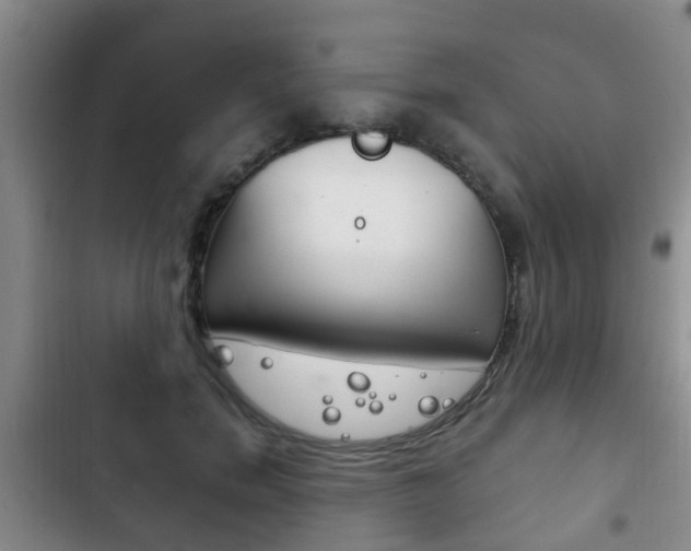 X0000102760750200808180931