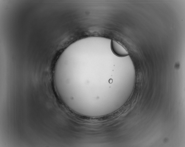 X0000102760751200808180931
