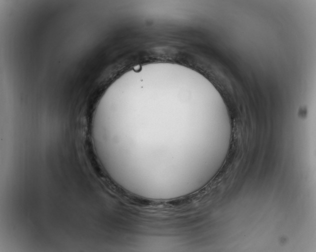 X0000102760752200808180931