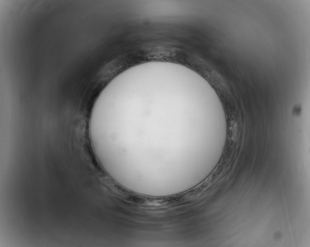 X0000102760753200808180931