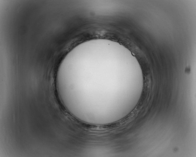 X0000102760754200808180931