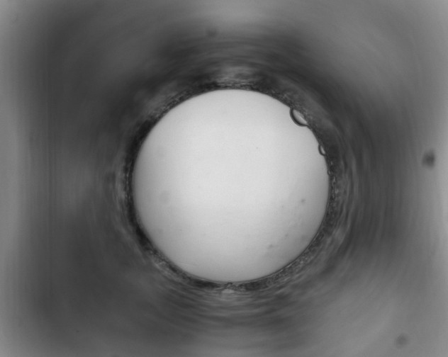 X0000102760755200808180931