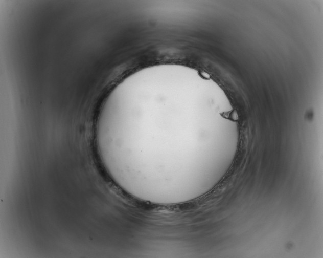 X0000102760756200808180931