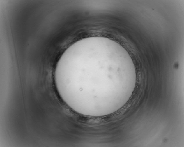 X0000102760757200808180931
