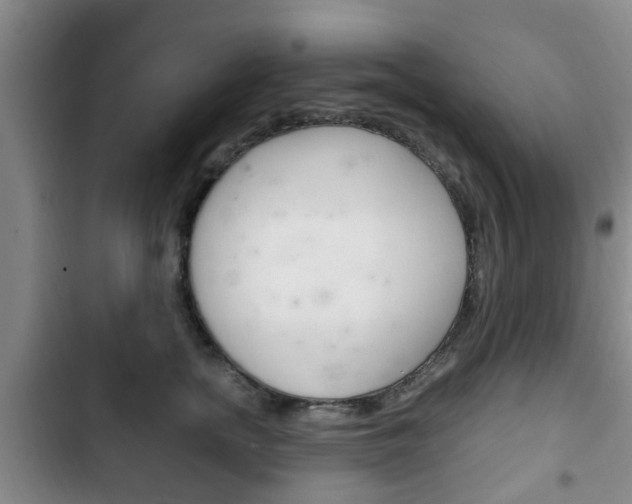X0000102760758200808180931