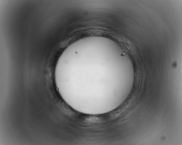X0000102760759200808180931