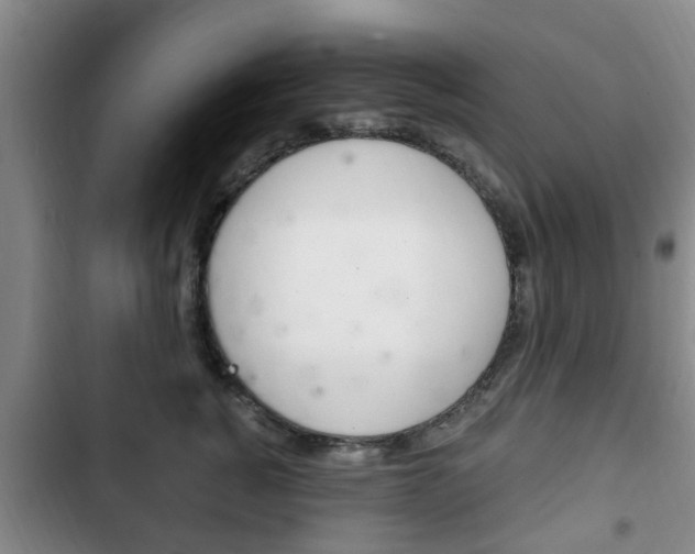 X0000102760760200808180931