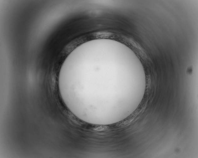 X0000102760761200808180931