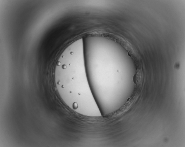 X0000102760762200808180931