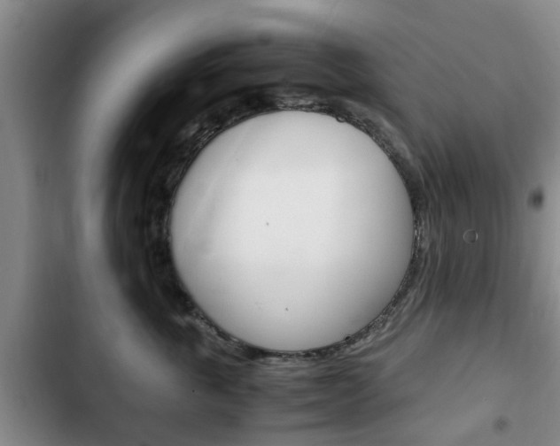 X0000102760763200808180931