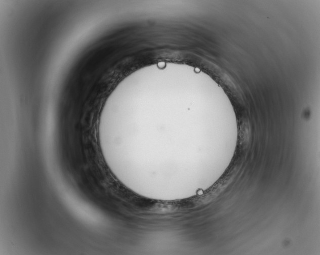 X0000102760764200808180931