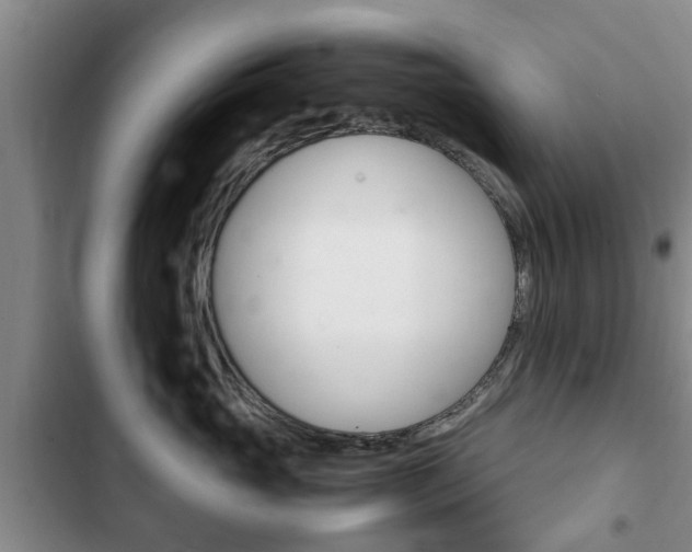 X0000102760765200808180931