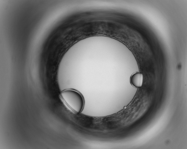X0000102760766200808180931