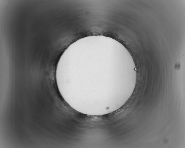 X0000102760768200808180931