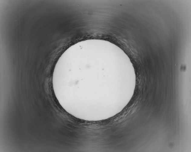 X0000102760769200808180930