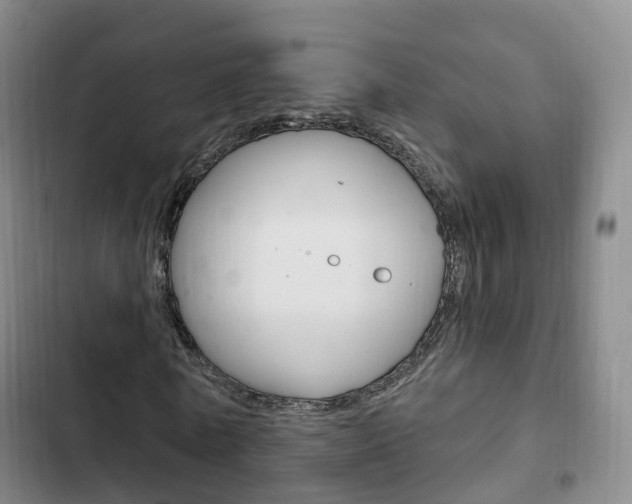 X0000102760770200808180930