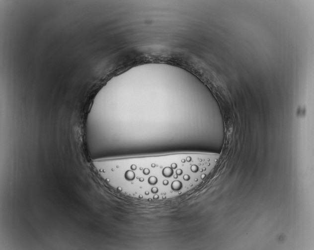 X0000102760772200808180930