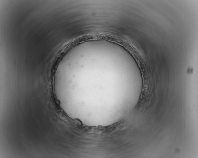 X0000102760773200808180930