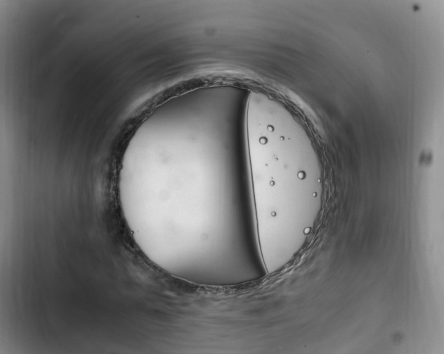 X0000102760775200808180930