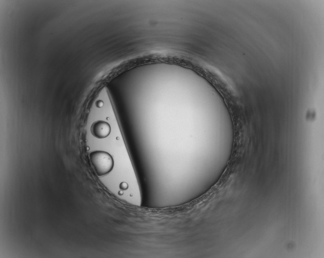 X0000102760776200808180930