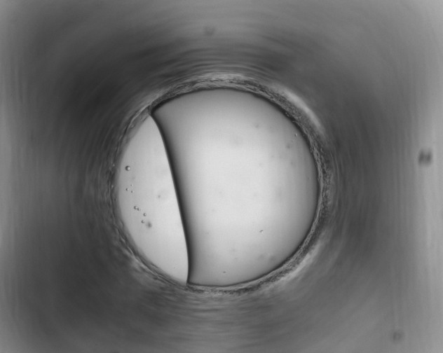 X0000102760777200808180930