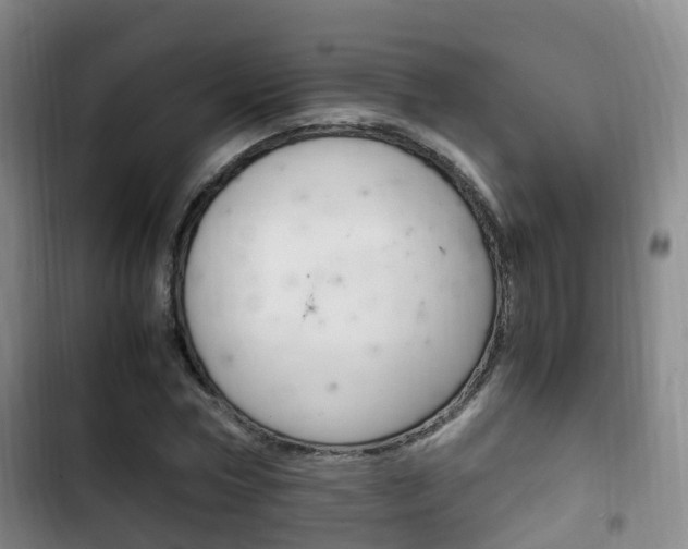 X0000102760778200808180930